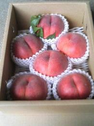 【限定数】桃2号箱(7月中下期日指定不可